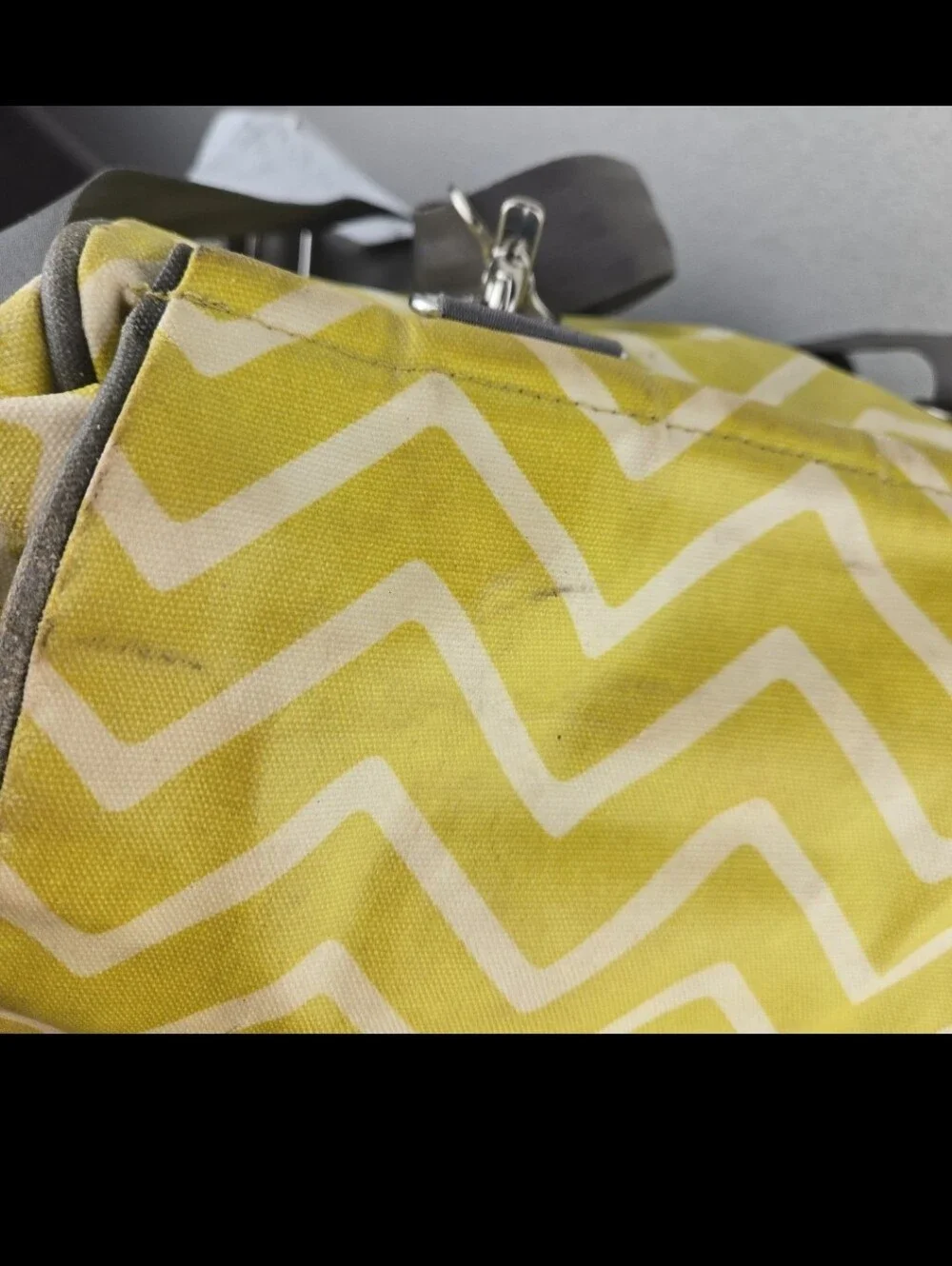 Petunia Pickle Bottom Bag